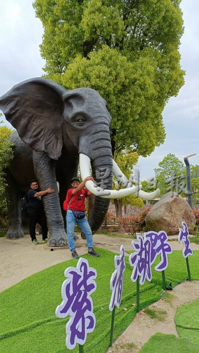 紫清湖+成都卧龙基地篇