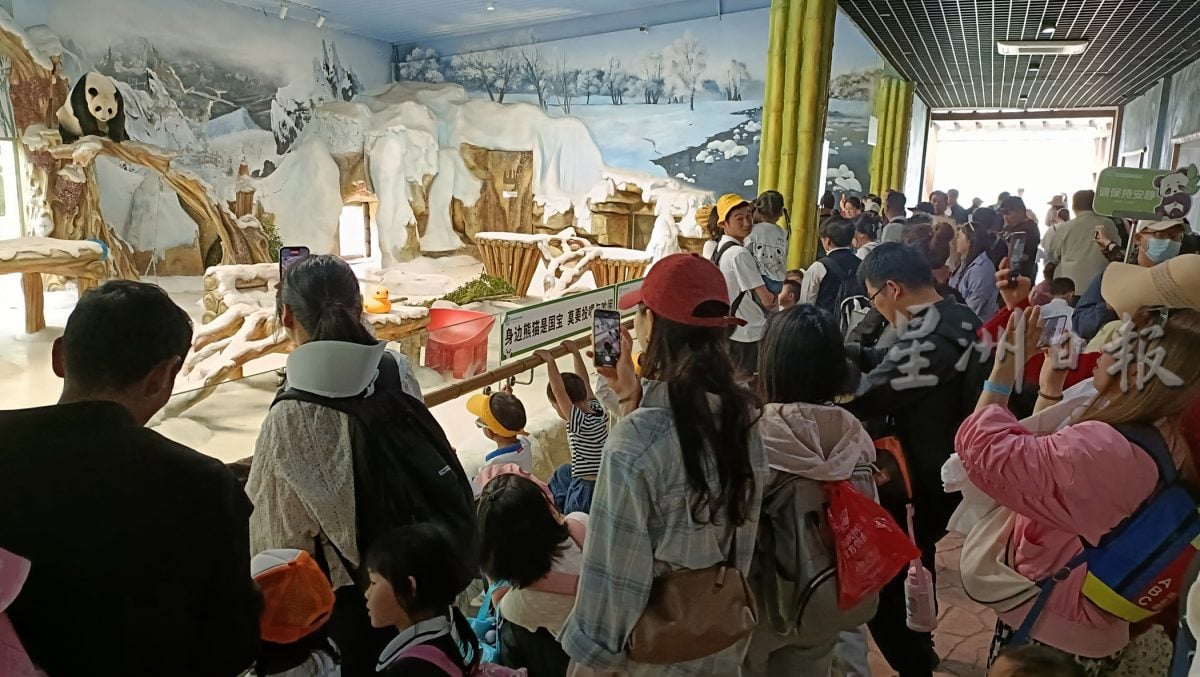 紫清湖+成都卧龙基地篇