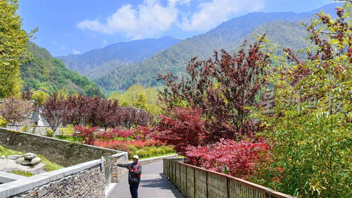 紫清湖+成都卧龙基地篇