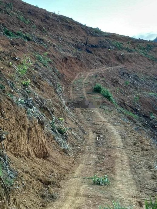 丹州话望生县一名孟加拉籍男子昨天下午被一头野象攻击，肚破血流，当场丧生。