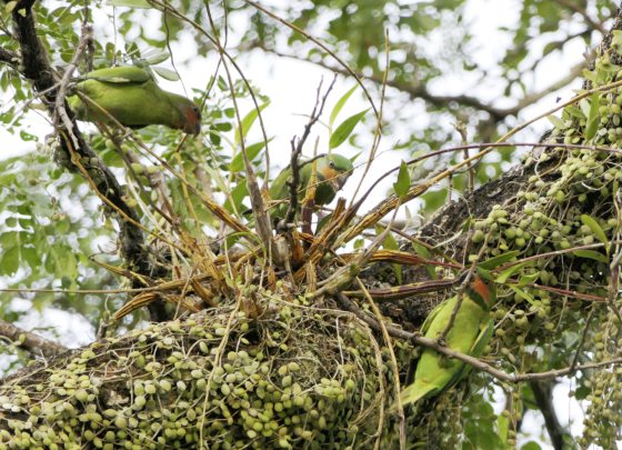 Fkwyq240526 04 Fz100251475426