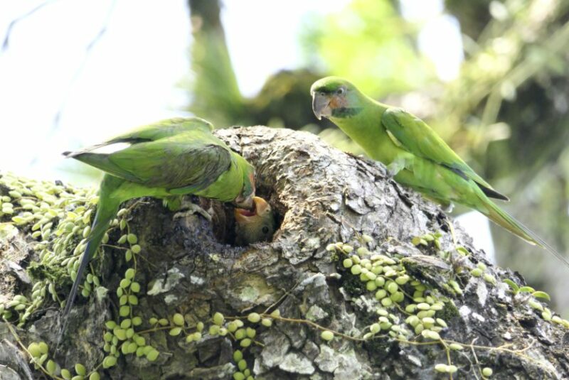 Fkwyq240526 05 Fz100251475429