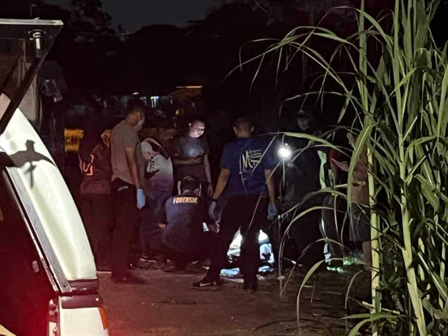 (大北马)主人遛狗途中,狗儿对水沟吠叫揭发男子倒毙在水沟