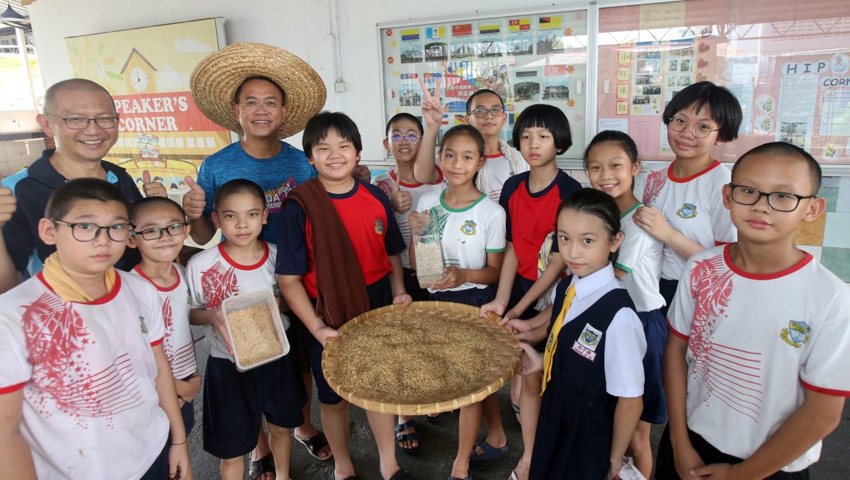 大都会/加影育华小学校区菜园申办大马良好农业规范认证（myGAP） 