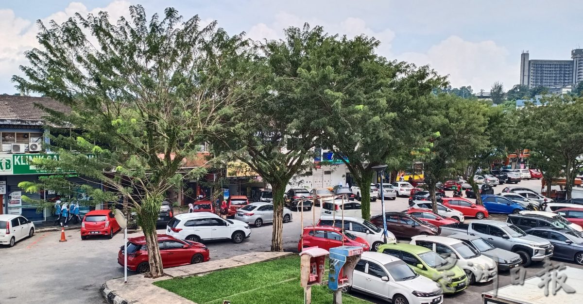 大都会/早报头/仄勒米:实达阿南森林开路计划获允准