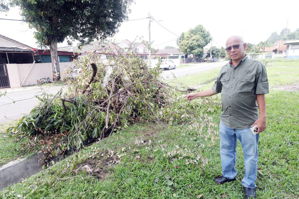 大都会/民众自行修剪大树却未善后，引发其他安全隐患！