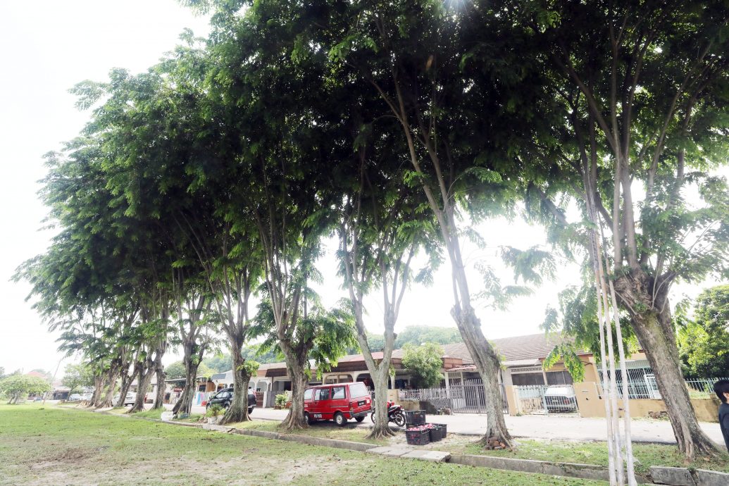 大都会/民众自行修剪大树却未善后，引发其他安全隐患！