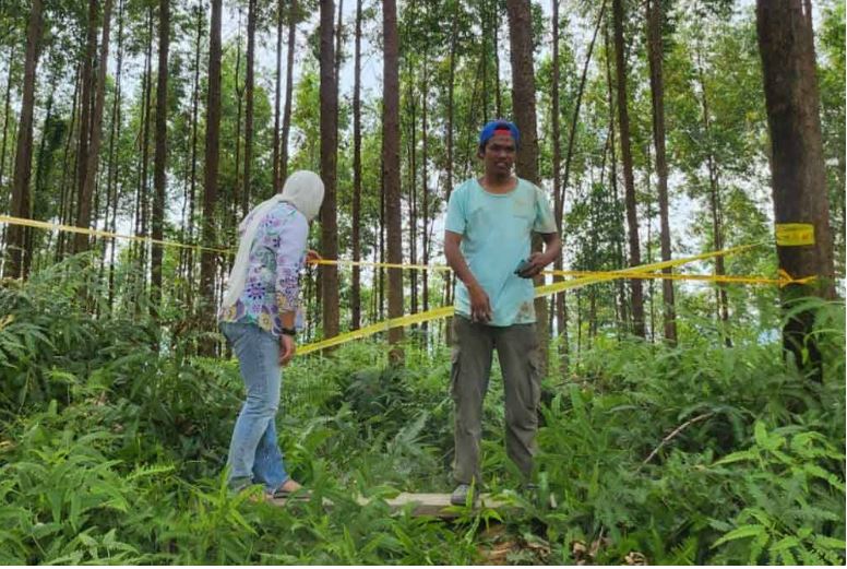 小型飞机坠毁垦殖区 目击者:很惊慌 但仍尽力协助