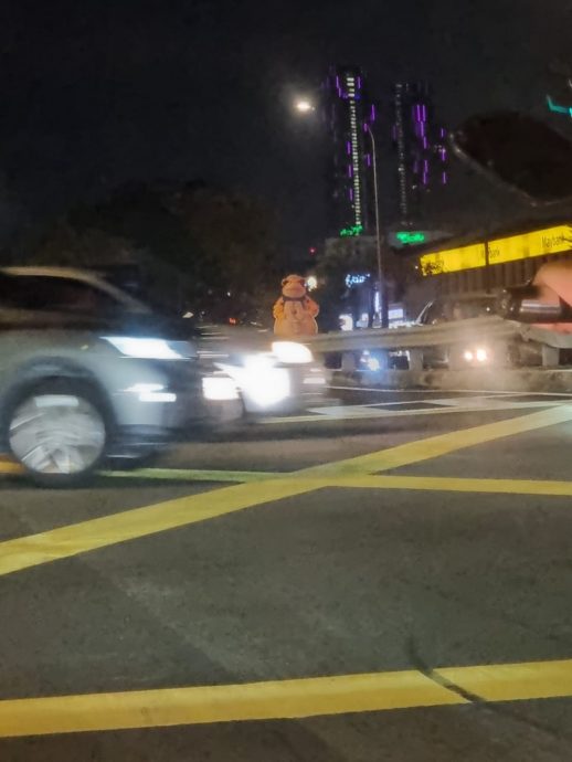 *已签发*柔:另类吉祥物夜游马路,吓坏驾驶人士