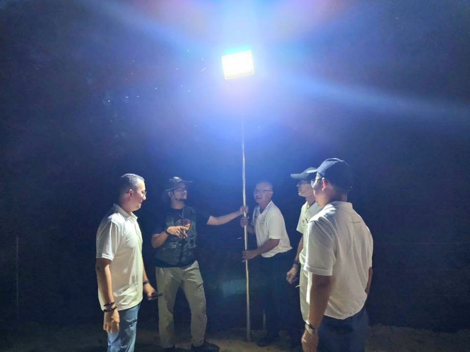 *已签发*柔:大马黄梨局研究夜耕法 提高全国黄梨产量