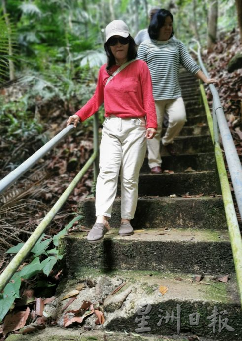 *已签发*柔:民生特工队:峇龙华山庄休闲森林设施年久失修,登山客步步惊心