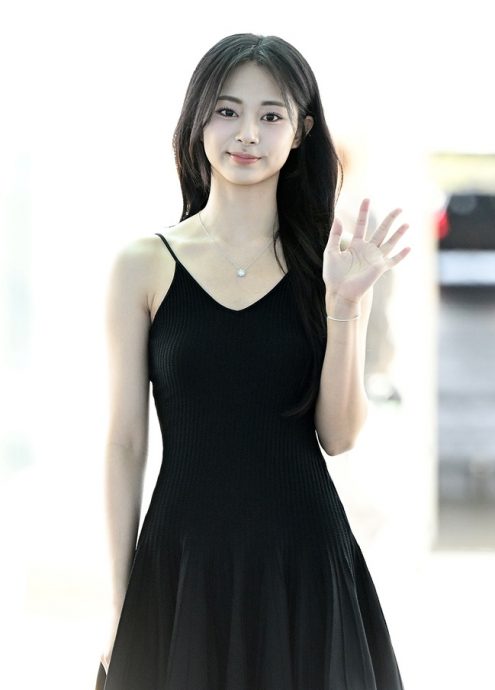 志效恶搞、公司装死 周子瑜台粉派3卡车抗议