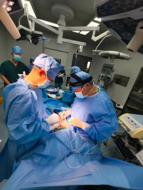 拼盘∕世界首例猪肝移植给活人成功 肝癌患者肝功能恢复正常