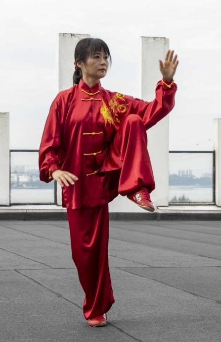 柔:新旧对照:从中国到新山的杜华