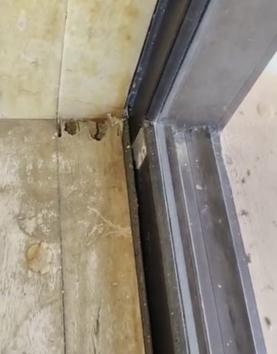 柔:本报活动:雅格华小1011办Tiger华教义演 盼筹80万令吉