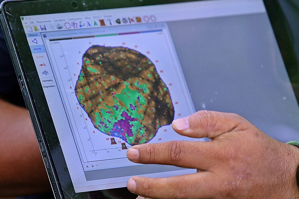 槟威154树有风险 方美铼：绿化重要安全更重要