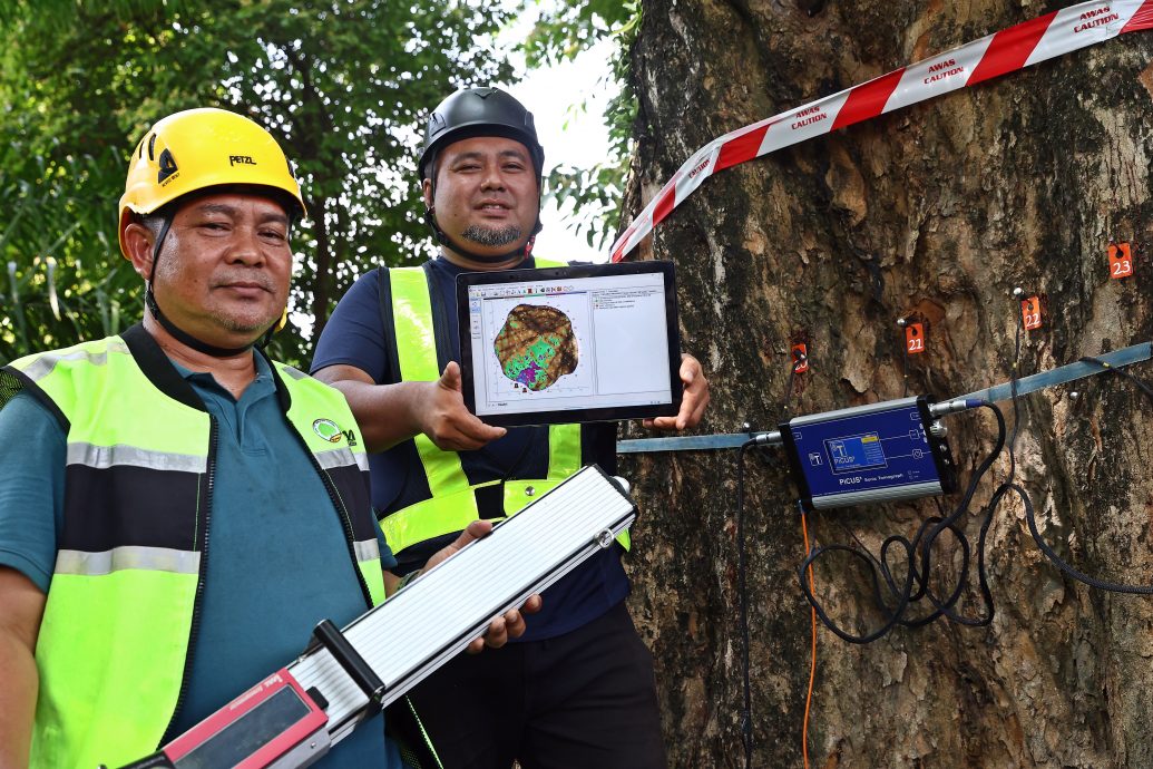 槟威154树有风险 方美铼：绿化重要安全更重要