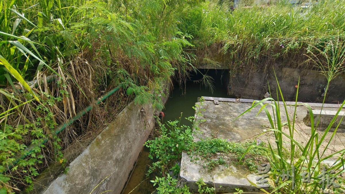清理挖深加强排水 提升巴占蓄洪池防水灾