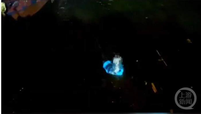 游客买石头掷海观蓝眼泪 当地文旅称违规