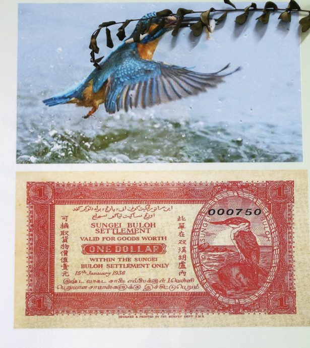 版头-大都会/已逝院民黄福良著书回忆录《希望之谷的一抹清凉》继程法师亲自设计书籍封面/13图(可选下)