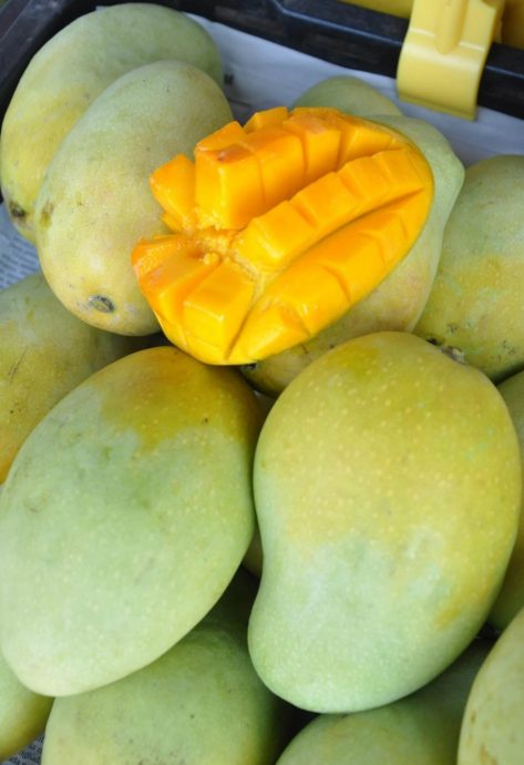 男子嫌Harumanis芒果价格贵号召众人杯葛 遭网民炮轰