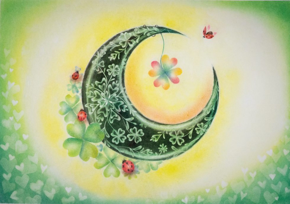 社区精彩（主）/马来西亚首展日本结晶之花艺术