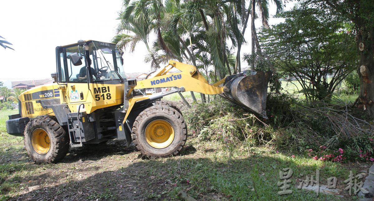 草场耕种养蚊 怡市厅铲除非法菜园