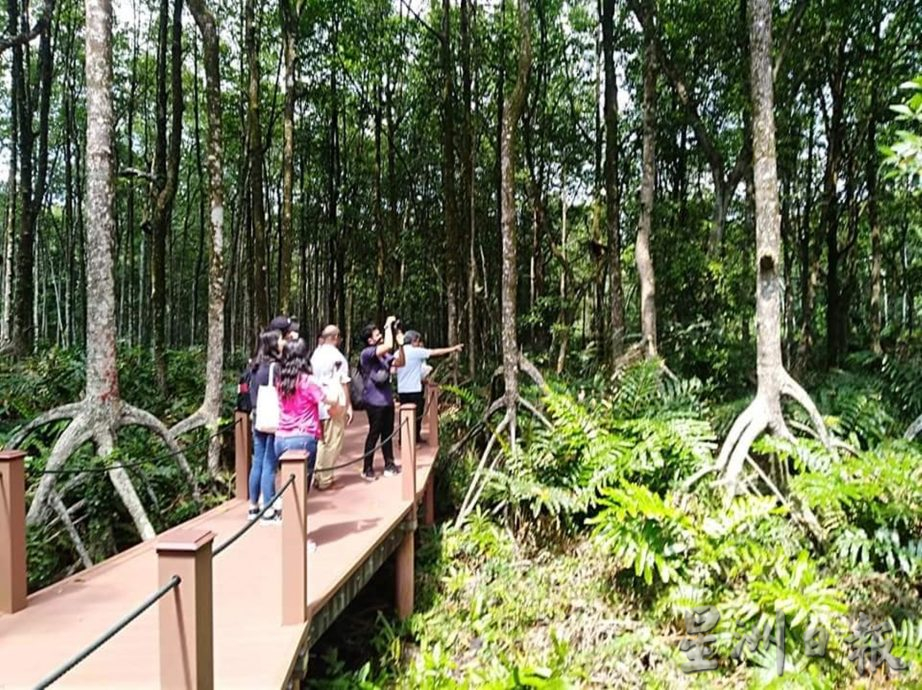 西海岸大道如打通任督二脉 促进太平旅游经济房地产 