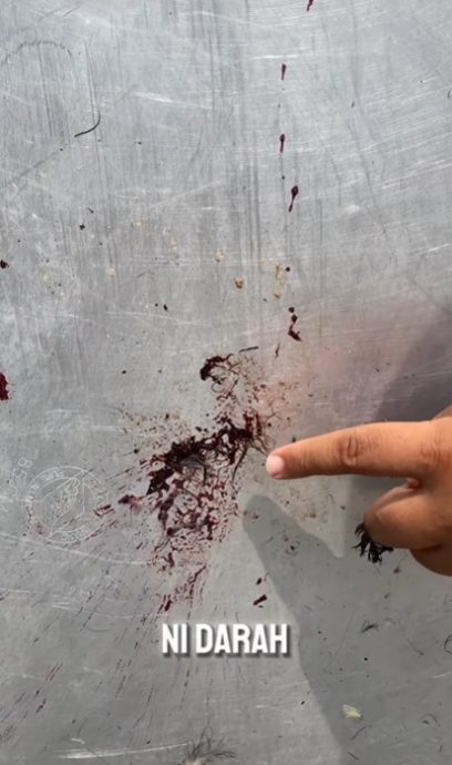 视频 | 乌鸦被射杀掉进汤锅！店家无奈：亏了RM2000