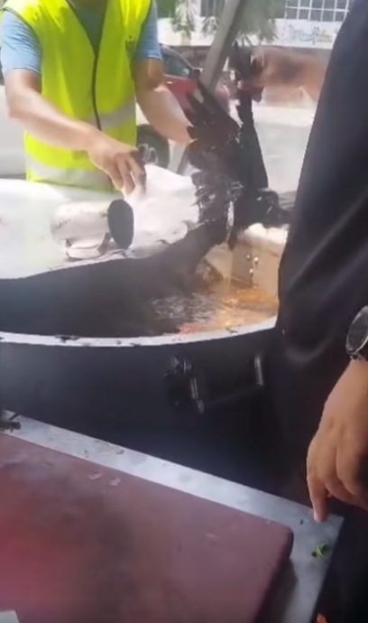 视频 | 乌鸦被射杀掉进汤锅！店家无奈：亏了RM2000