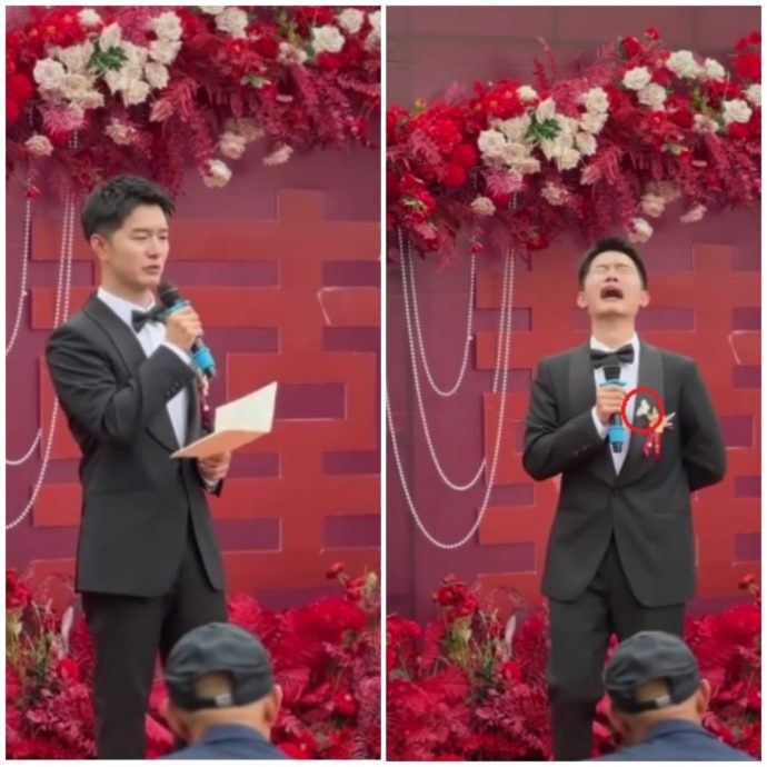 视频 | 婚礼见白蝴蝶痛哭 新郎:外婆来看我了