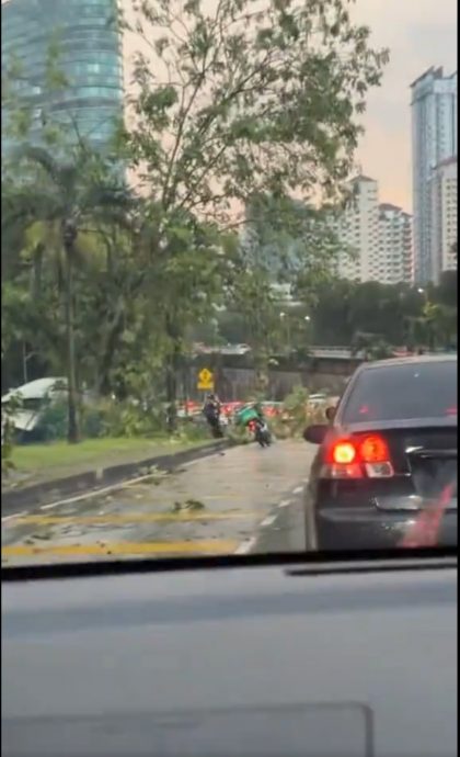 视频 | 树倒阻碍交通 送餐员冒雨独自移走树木