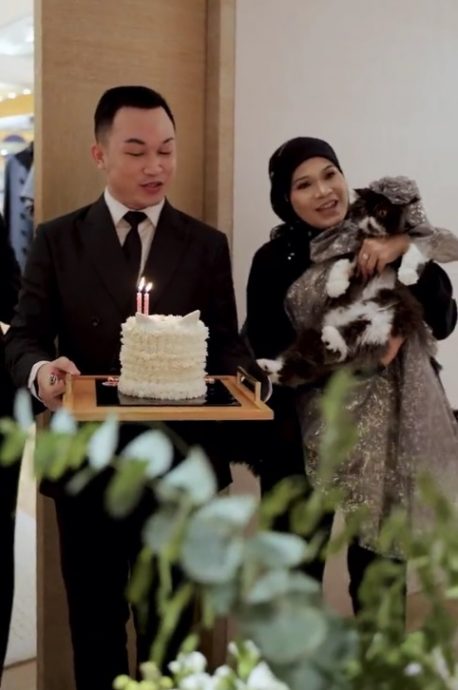 视频|为爱猫办7岁生日派对 女企业送数十万令吉水晶猫衫