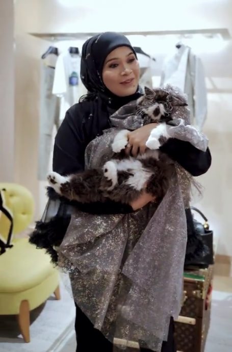 视频|为爱猫办7岁生日派对 女企业送数十万令吉水晶猫衫