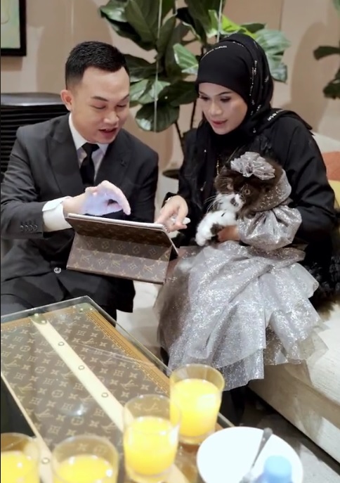 视频|为爱猫办7岁生日派对 女企业送数十万令吉水晶猫衫