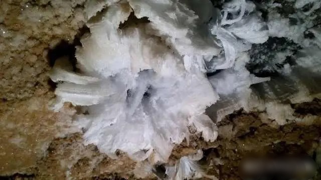 贵州某景点门票9999元? 景区客服:“物有所值”