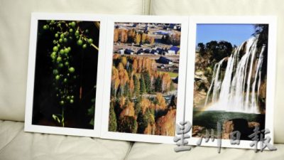 走过苦难人生，挺过疾病折腾，许锦芳活出自己的不老传说