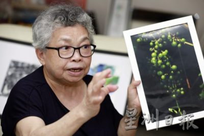 走过苦难人生，挺过疾病折腾，许锦芳活出自己的不老传说