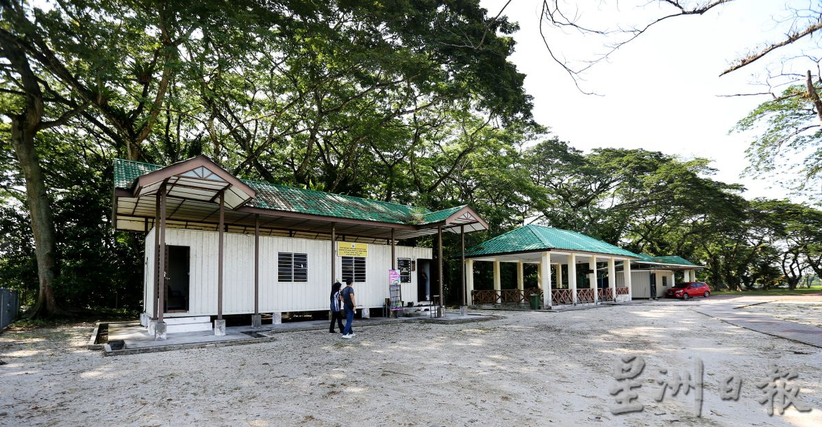 近打生态园珍贵湿地观鸟区 湖泊孤岛候鸟翔聚