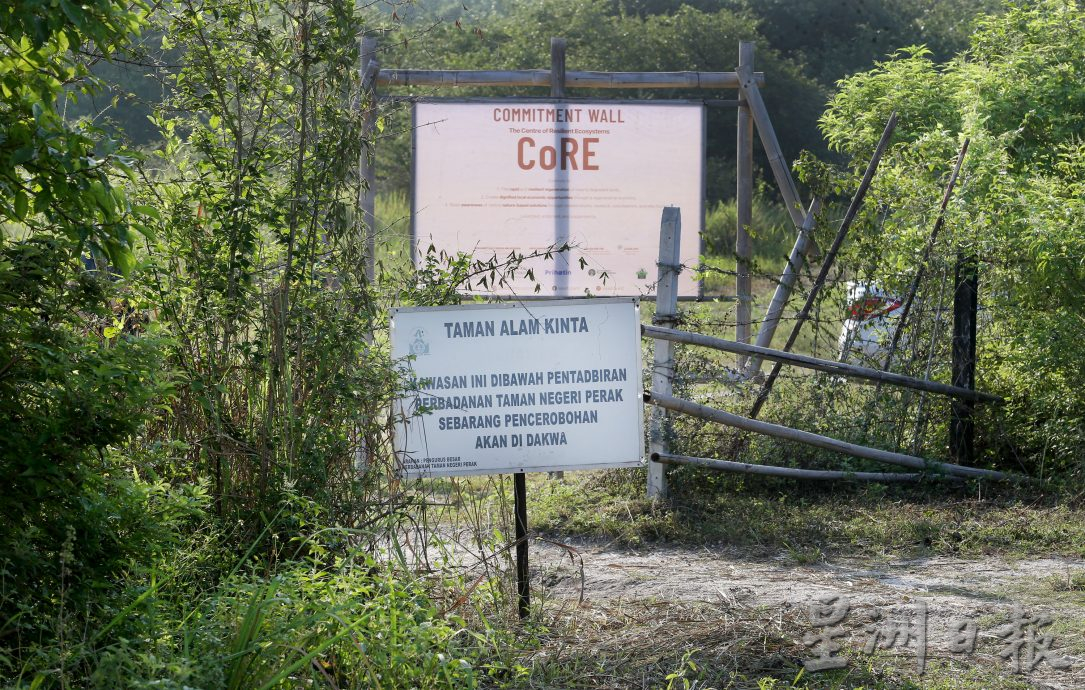 近打生态园珍贵湿地观鸟区 湖泊孤岛候鸟翔聚