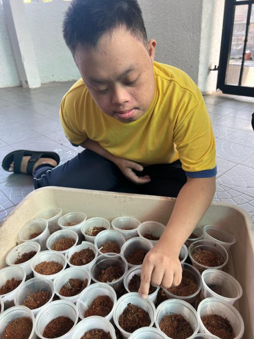 暖势力：唐氏儿母亲扎哈拉