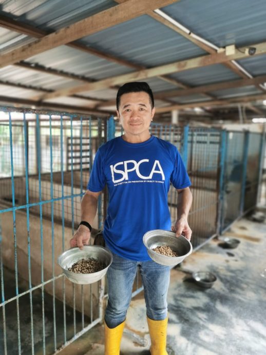 霹:封面主文/名犬不能幸免 找新币也成弃养借口