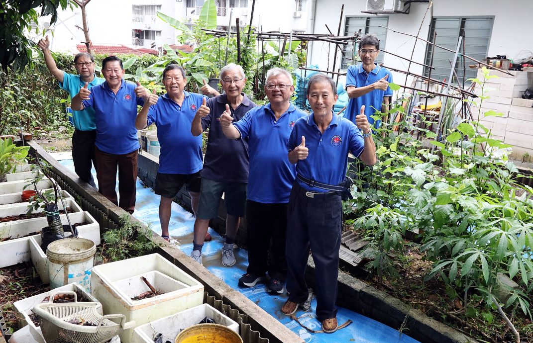 (29日见报)大都会/ 绿意盎然系列-SS26美阳再也花园居协社区菜园
