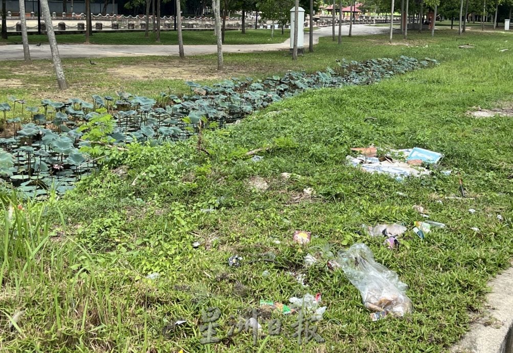 (古城封底主文)荷花池被垃圾污染,失去诗情画意