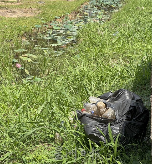(古城封底主文)荷花池被垃圾污染,失去诗情画意