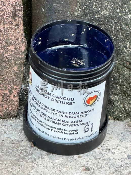 (古城第四版主文)蚊虫卵无水可活3个月 李春沅促检查容器勿掉以轻心