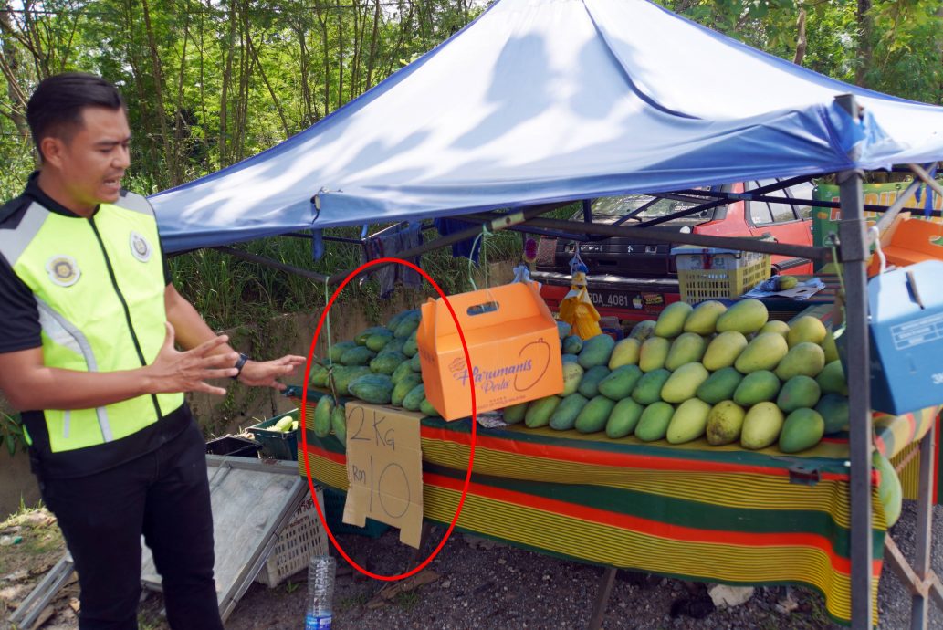 (大北马)得知突击行动留果摊摆空城,FAMA等联合突击卖假玻香甜芒摊