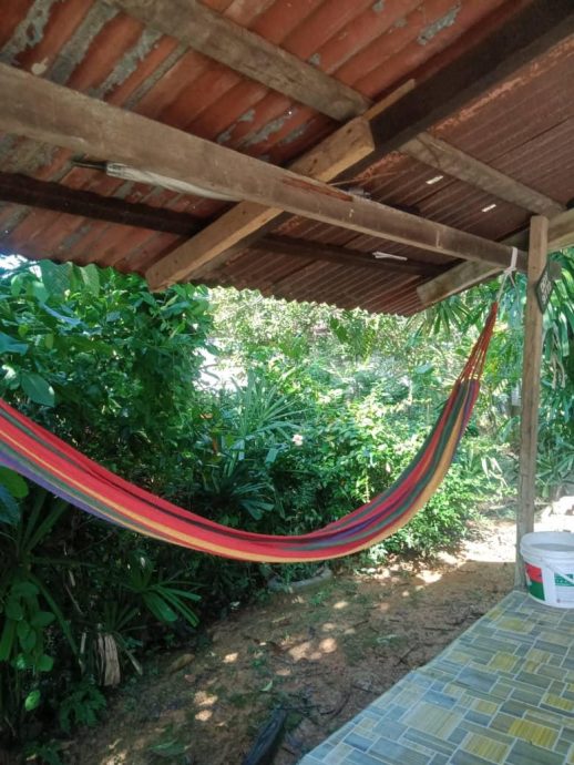 (大北马)男子恶劣天气睡凉亭遭闪电击毙!