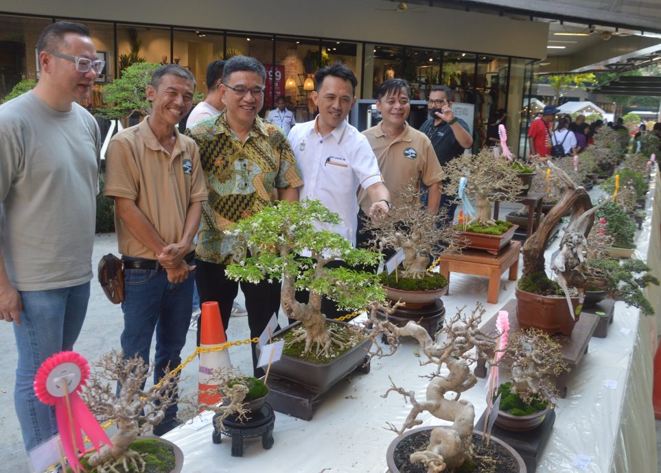 +(大北马)黄汉伟为潮风尚节与国际盆栽展主持推展