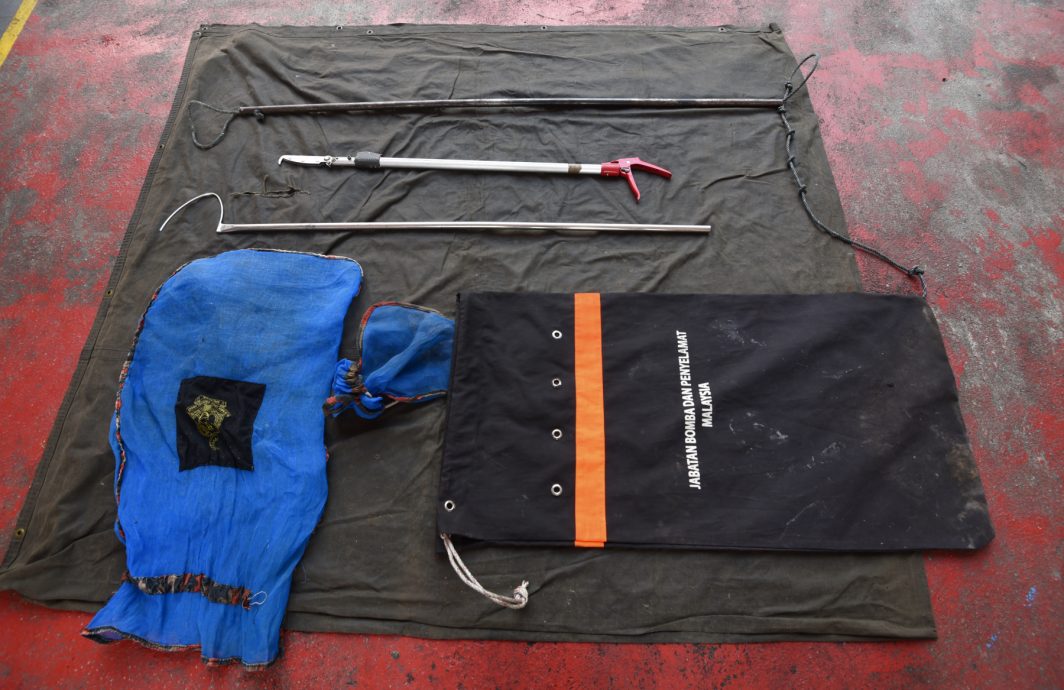 （已签发）柔：【特稿】不轻视捉蛇投报 阿兹米：当紧急事件处理